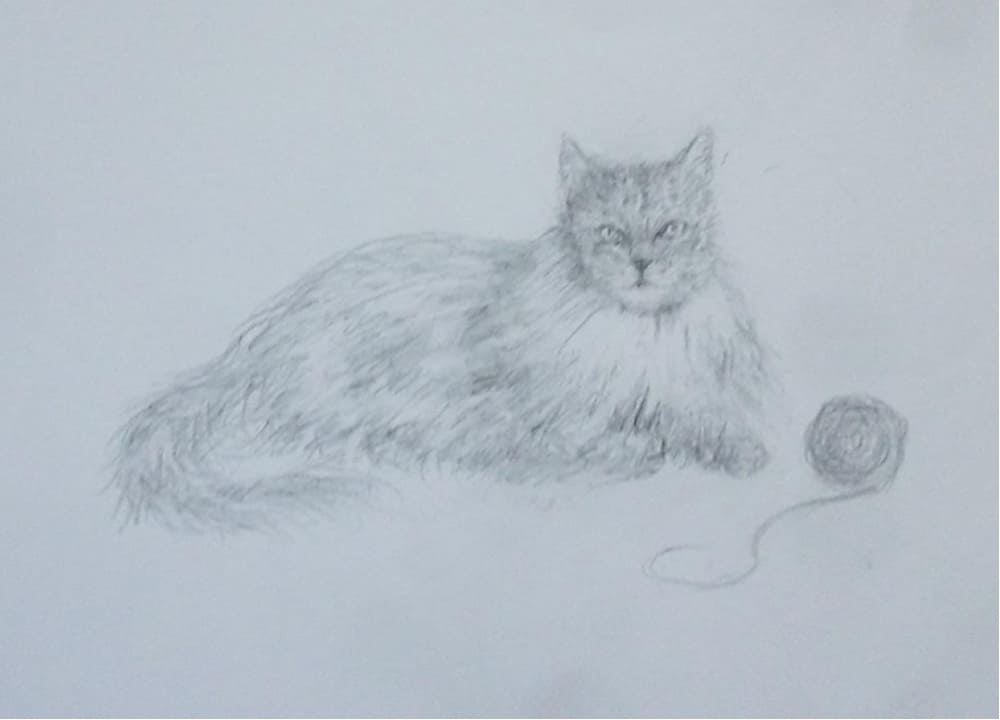 Fluffy the Cat - Lead Pencil - 1 ft x 8 inches