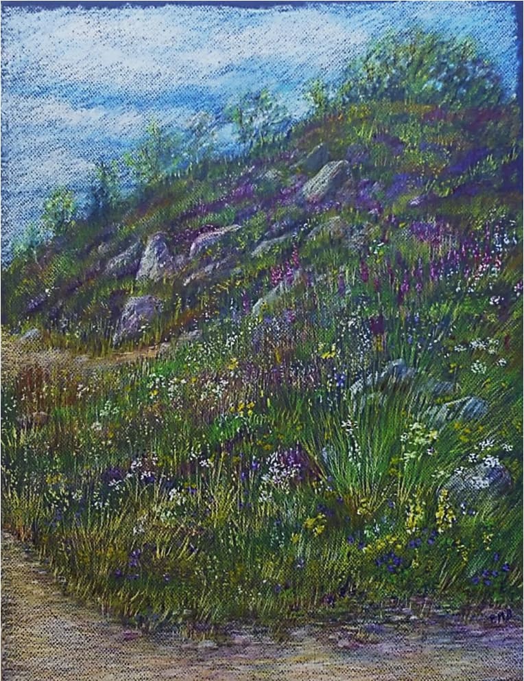 Wild flowers on La Croix Saint Robert Pass (Le Mont Dore, Massif Central, France) - Pastel 